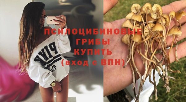 каннабис Алзамай