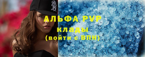 тгк Бикин