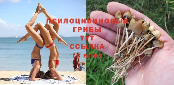 каннабис Алзамай